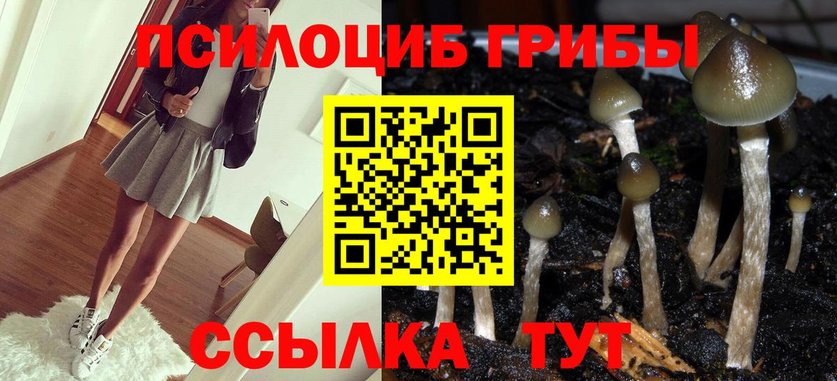 Псилоцибиновые грибы прущие грибы  Вход с VPN  Урюпинск 